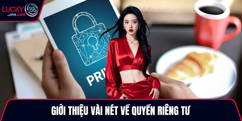 Giới thiệu vài nét về quyền riêng tư